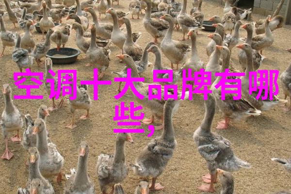 五个新城综合性医院建设有新进展
