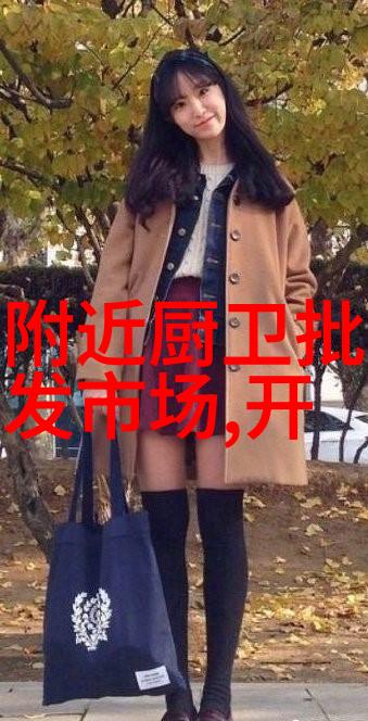 2025空调市场展望适应新阶段探索生存之道